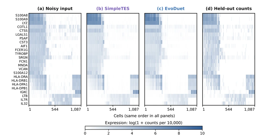 Single-cell gene expression before and after denoising, shown in the current paper’s blue-and-purple heatmaps.