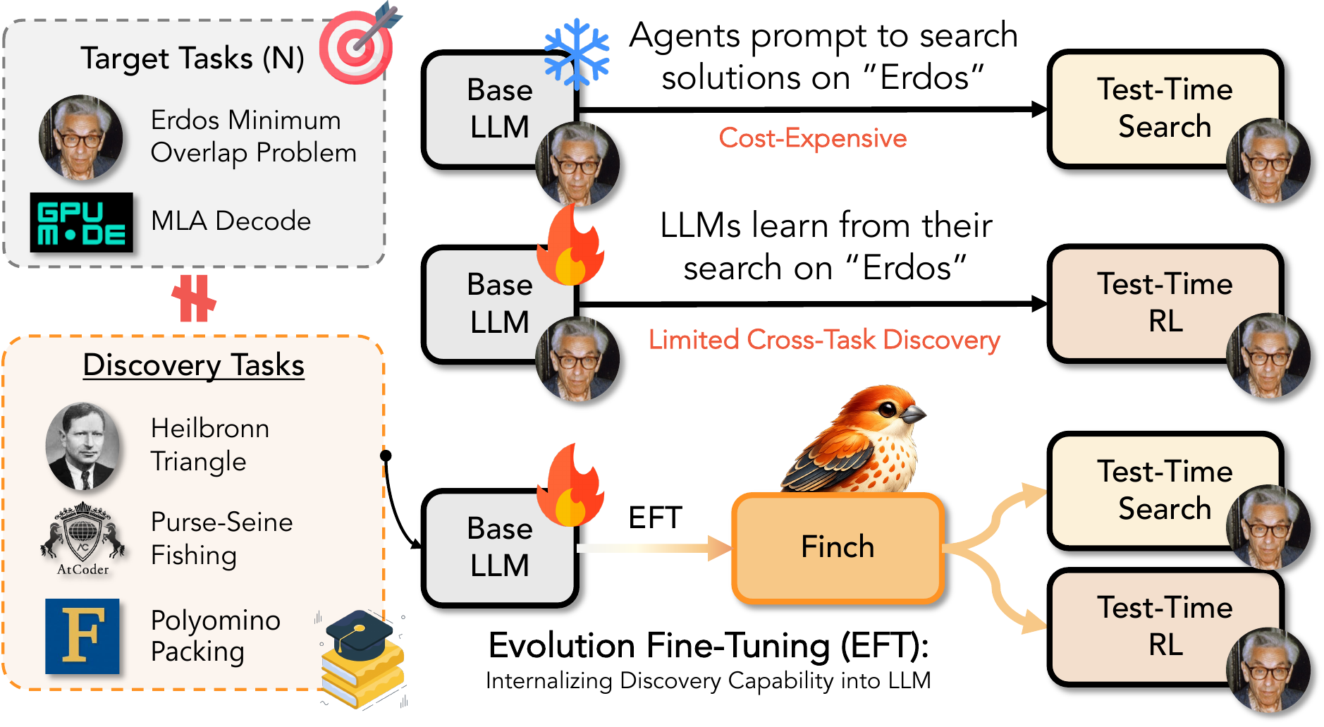 Concept of Evolution Fine-Tuning